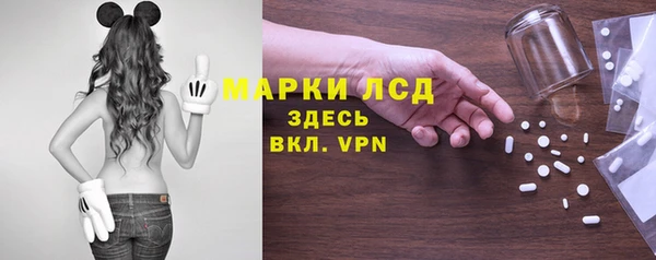 индика Каменск-Шахтинский
