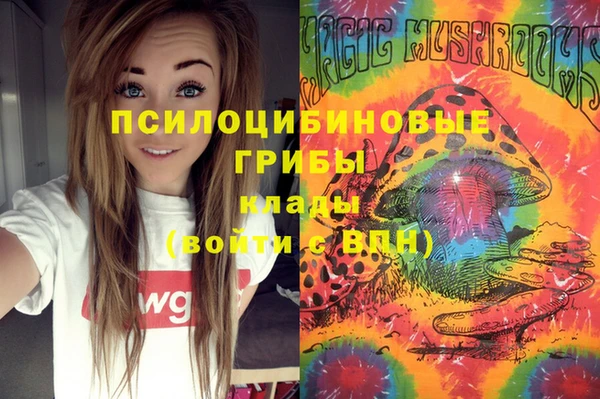 метамфетамин Каменногорск