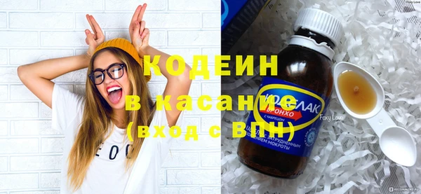 индика Каменск-Шахтинский