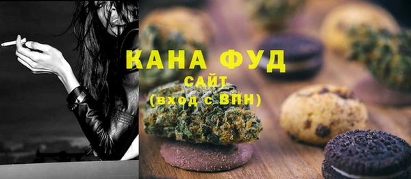 индика Каменск-Шахтинский