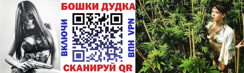 Купить закладки  Ртищево  Каннабис планчик 